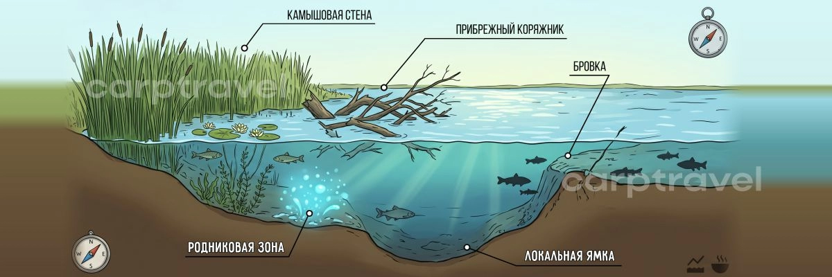 Перспективные точки для поиска карася в июне Перспективные точки для поиска карася в июне